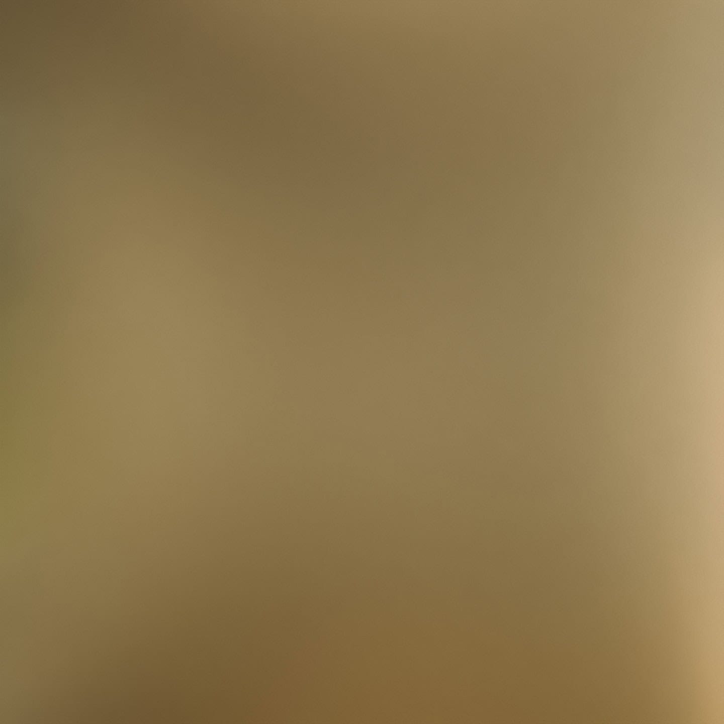 Farbe: Gebürsted Bronze